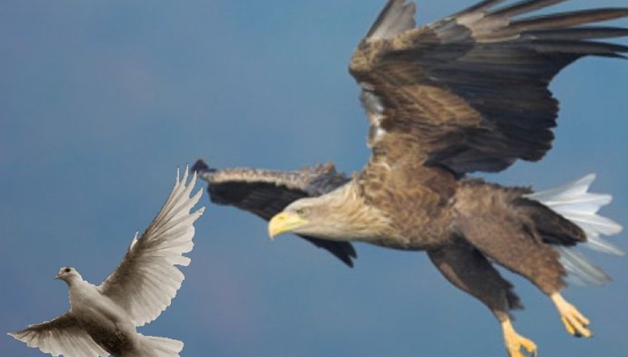 ПКРМ: «ястребы» против «голубей»