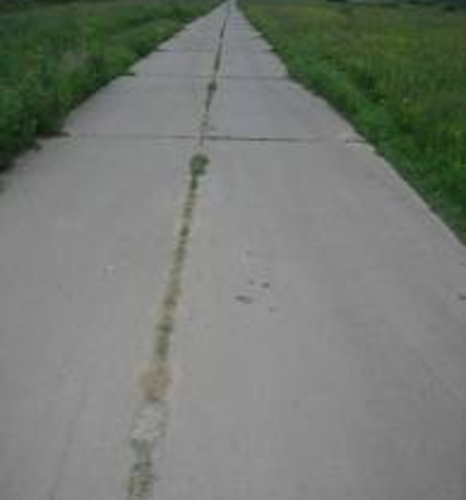 Воровство. В большой стране – большие масштабы