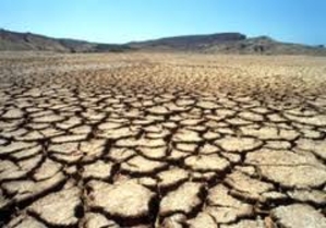 Деградация почв в Молдове ведет к уровню гарантированной нищеты