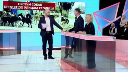 Выход есть - в столице открыли центр по стерилизации и вакцинации бездомных животных