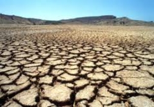 Деградация почв в Молдове ведет к уровню гарантированной нищеты