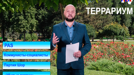 Террариум – Что делают партии пережившие выборы