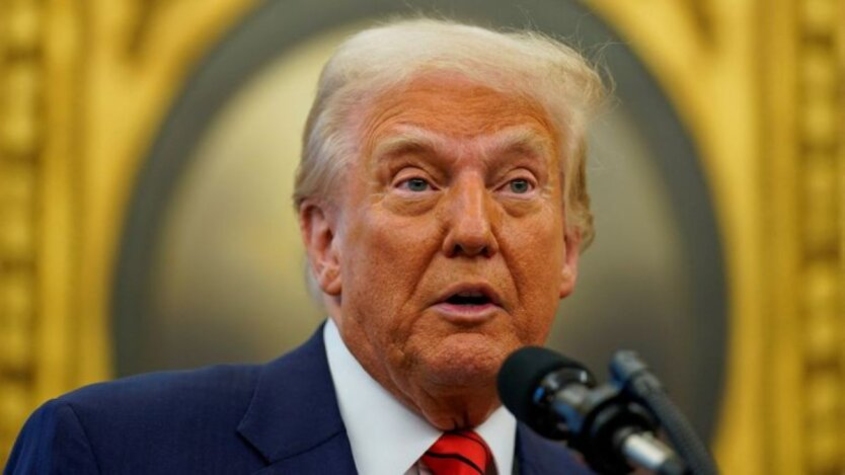 Американский товарищ Димогло