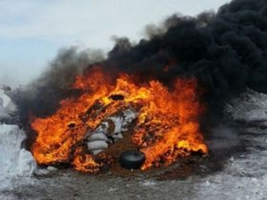 На Алтае сожгли более 20 тонн грецких орехов из Калифорнии