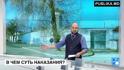 Амнистия - 2016