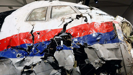 Суд по делу МН17: виновным может грозить пожизненное заключение