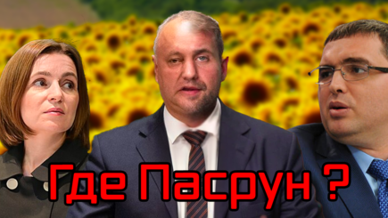 ВЫБОРЫ – Война ШорДодона или ПАСРУН наступает