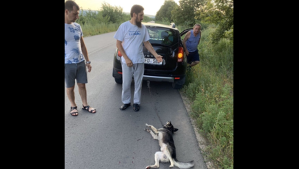 Живодер и спонсор Партии Социалистов