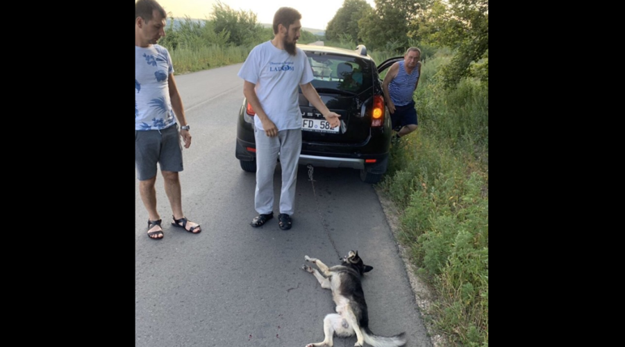 Живодер и спонсор Партии Социалистов