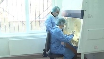 Медики заверяют — свиной грипп нам не грозит