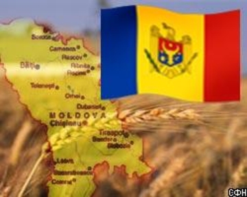 Всемирный банк  и Глобальный Экономический Фонд поддерживают конкурентоспособность молдавского земледелия