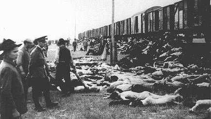 Еврейская община  Молдовы опротестует в суде увековечивание памяти нацистского преступника