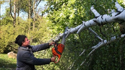 Зоопарк и Ботанический сад временно закрыли для посетителей