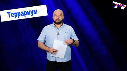 Террариум – российские колонны, приднестровские номера, уход Усатого и войны антиваксеров