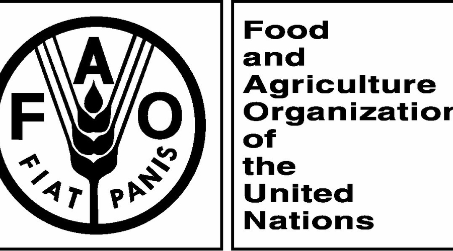 FAO откроет свое представительство в Молдове