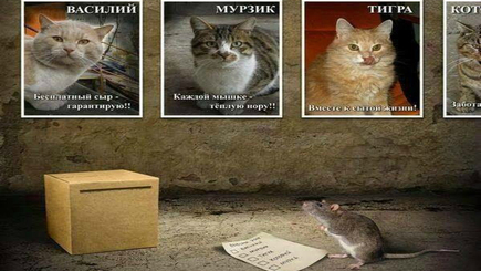 Шизофренические упражнения молодых политиков