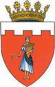 Борьба за расширения прав местного самоуправления. Советники Сорок намерены изменить статус города