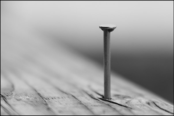 Воронин забил последний гвоздь в гроб с идеей вхождения в Таможенный Союз и сближения с Россией