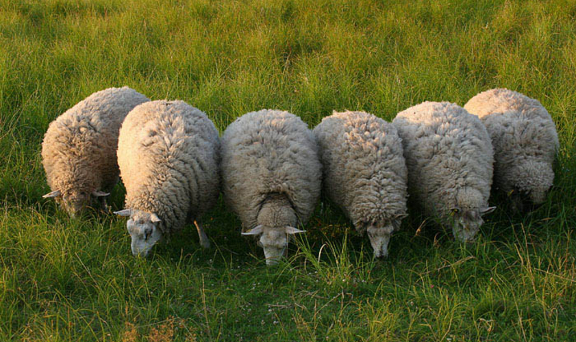 Подышали? Сопли пустили? Ну и будет. А теперь по камерам!