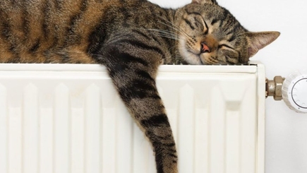 Termoelectrica готова подключить к теплу весь город, 36 зданий уже отапливаются