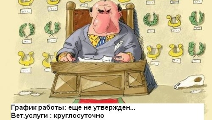 Понимает ли Каюров сам, что хотел сказать и к чему решил придраться?