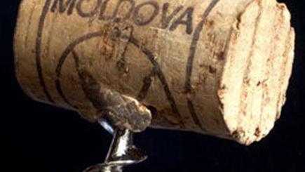 Не ВИНОватые мы?...