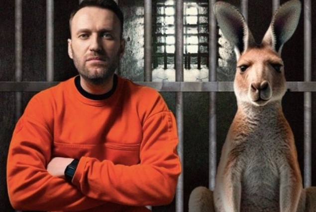 Алексей Навальный: 