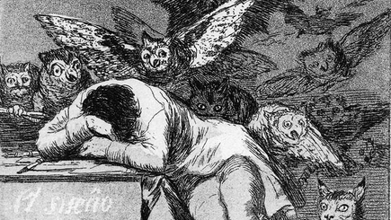 Проспали заседание парламента