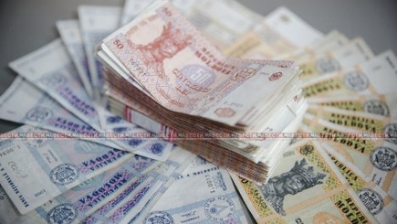 Проверка показала: 800 из более чем тысячи пособий в прошлом году выдали с нарушениями