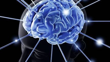 Coma meningeale, коварные игры с разумом