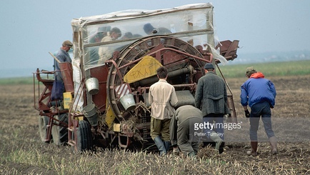 Миф про «натуральные продукты» в СССР
