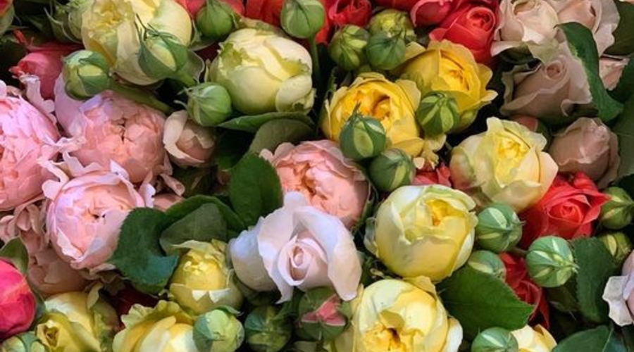 Солнцестояние: Всё, чем вы поделитесь в этот день вернется к вам многократно!