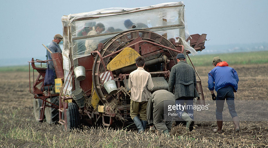 Миф про «натуральные продукты» в СССР