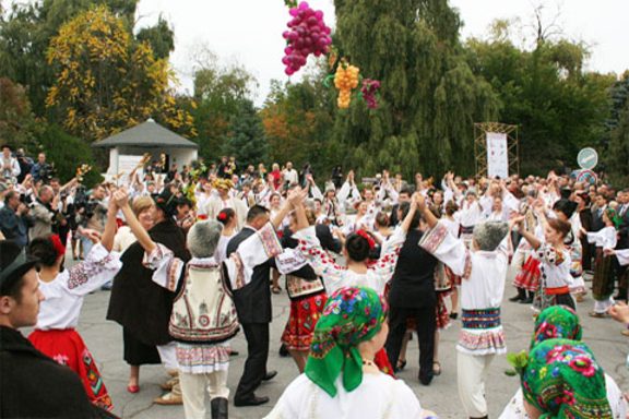 Празднование Дня вина под угрозой срыва из-за протестов на ПВНС