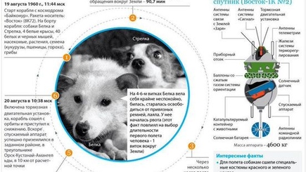 Про Белку и Стрелку