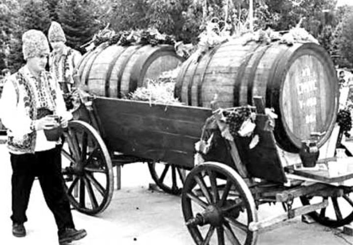 Контрольный выстрел