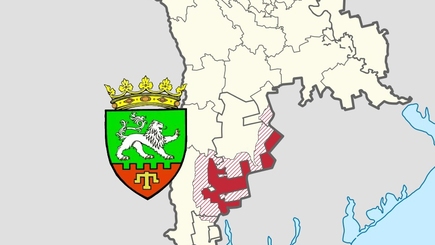 Экспресс-анализ: Кого болгары Молдовы выберут в парламент?