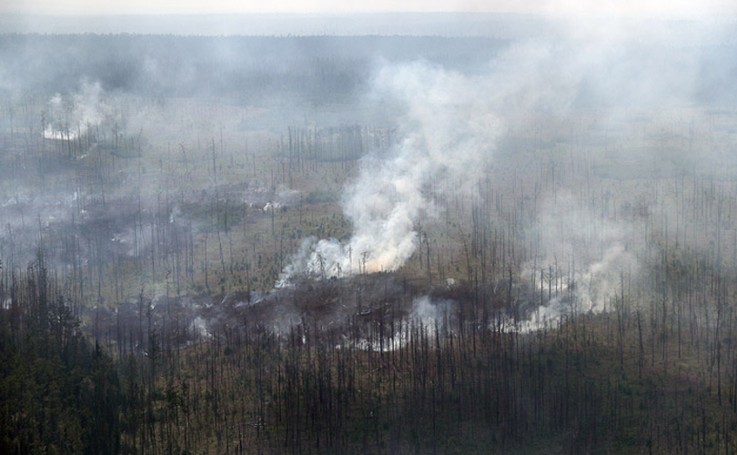 В России горят уже 4,5 млн гектаров леса, тушат лишь 6%, – Greenpeace