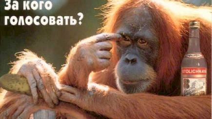 За кого голосовали  избиратели?