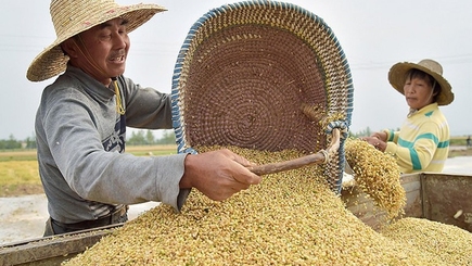 Кремль уходит из-под санкций, распродавая Россию