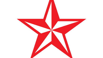 Альтернативное решение. Проект программы Партии социалистов РМ