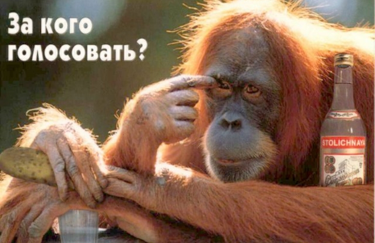 Почему в Молдове так любят грабли?