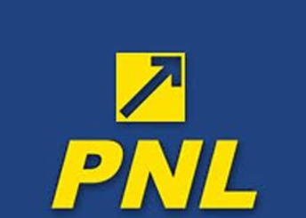 Declaratia PNL: Pentru PNL umbrelele coruptiei si ale evaziunii fiscale nu au culoare. Candidatul PL Oleg Cernei se deda abuzurilor