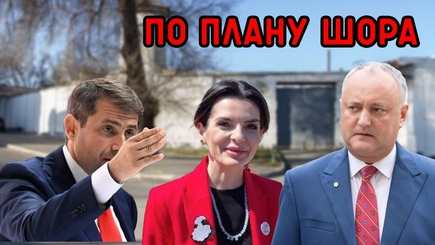 ВЫБОРЫ – Почему арест Гуцул, выгоден Шору 