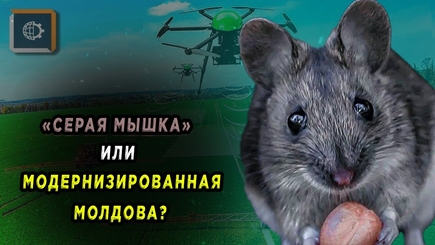 Nota bene. Две модели вхождения в ЕС. Возможные кандидаты на пост президента Молдовы