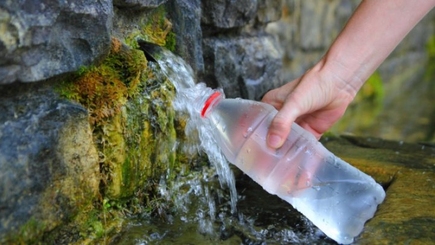 Специалисты: Вода из родников в столичных парках не пригодна для питья