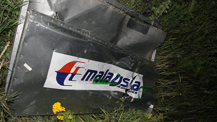 За информацию о виновных в крушении MH17 пообещали $30 млн