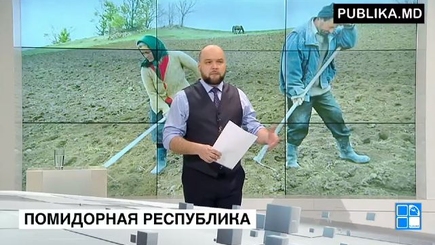 Помидорная республика