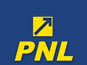 Declaratia Delegatiei Politice Nationale a PNL din 5 martie 2011