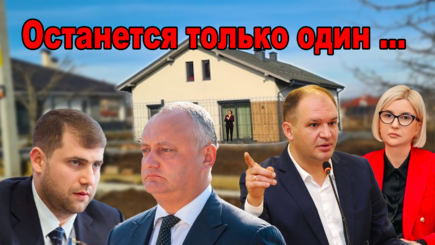 ВЫБОРЫ – Референдум, война Додона с Шором, трудные дни Чебана, обиды Влах.